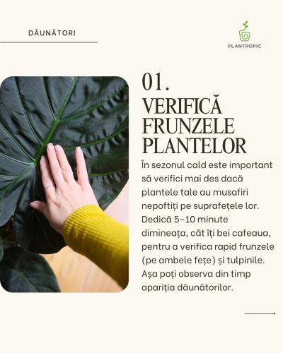 Workshop dăunători și fertilizanți - Img 2
