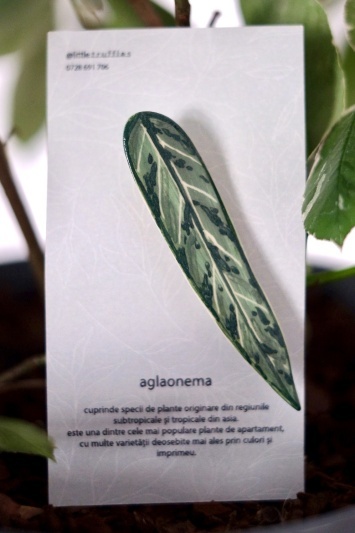 Broșă Aglaonema - Img 2