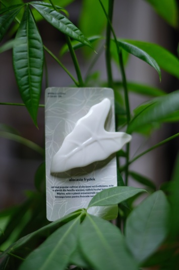 Broșă Alocasia Frydek - Img 3