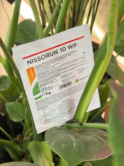 Nissorun - Img 3