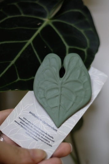 Broșă Anthurium Clarinervium - Img 6
