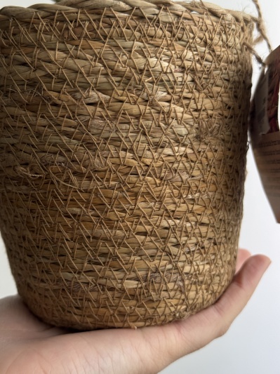Ghiveci Basket - Img 2