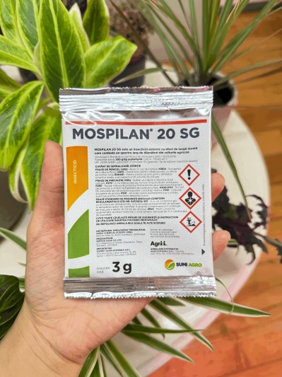 Mospilan - Img 2