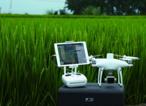DJI Phantom 4 multispektrális drón a D-RTK2 mobilállomással kombinálva (Enterprise) - Img 4