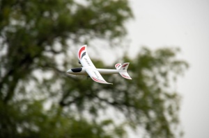 Aeromodel PTEROSAUR RTF, complet echipat, cu stabilizator electronic, 2.4 GHz (480 mm) - Img 8