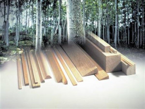 Placa lemn balsa 30 x 100 x 1000 mm - Img 2