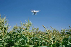 Drona DJI Phantom 4 Multispectral cu D-RTK2 Mobile Station Combo (Enterprise) - Img 8