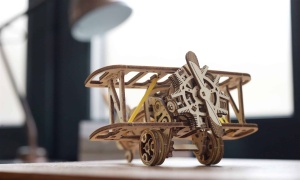 Mini-biplane - Img 4