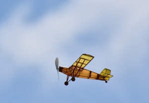 Dumas CURTISS CURTISS ROBIN KIT (445 mm) - Img 2