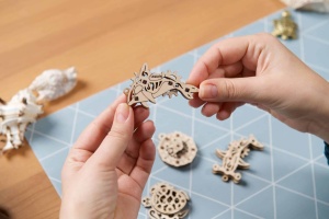 U-Fidgets Atlanti-óceán - Img 2