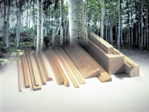 Bloc lemn balsa 40 x 40 x 1000 mm - Img 6