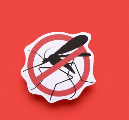 Spray natural anti-insecte (reteta inspirata de Scott A. Johnson) cu uleiuri esentiale Plant Therapy