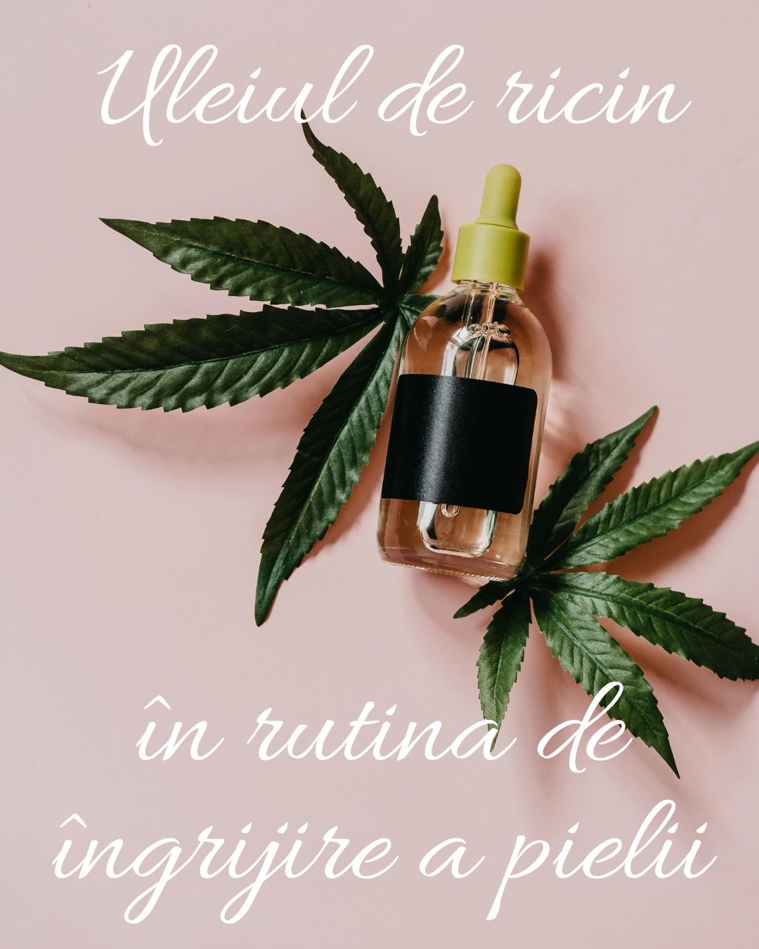 Uleiul de ricin - beneficii si retete pentru ten