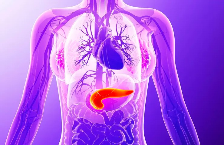 Un singur ulei esențial Plant Therapy pentru PANCREAS