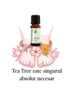 Tea Tree Plant Therapy absolut necesar pentru picioare fericite!