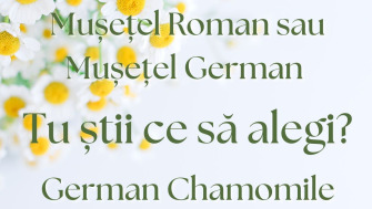 Chamomile Roman sau Chamomile German? Tu știi ce să alegi?