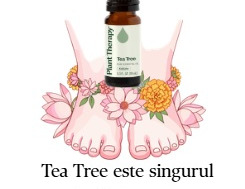 Tea Tree Plant Therapy absolut necesar pentru picioare fericite!