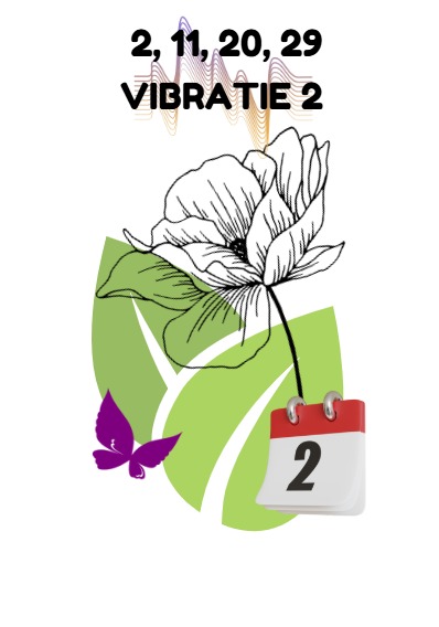Născut pe 2, 11, 20, 29 sau cifra de destin 2