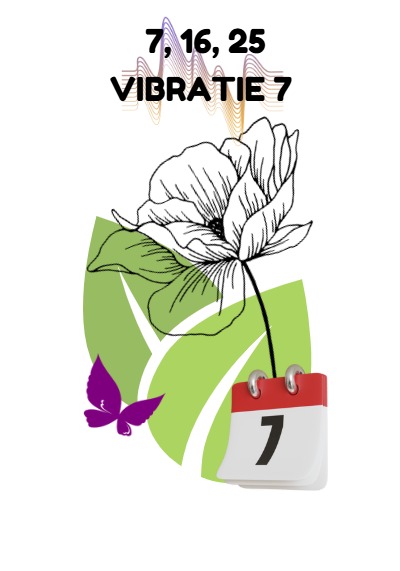 Născut pe 7, 16, 25 sau cifra de destin 7