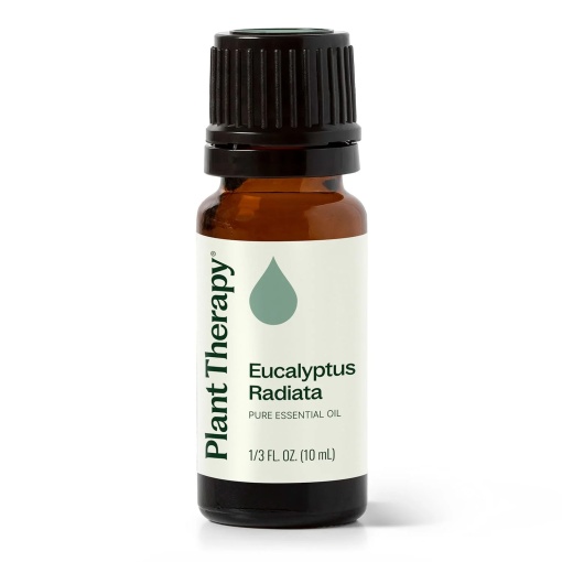 Eucalyptus Radiata (Eucalipt Radiata)