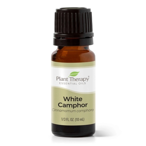 White Camphor (Camfor Alb)