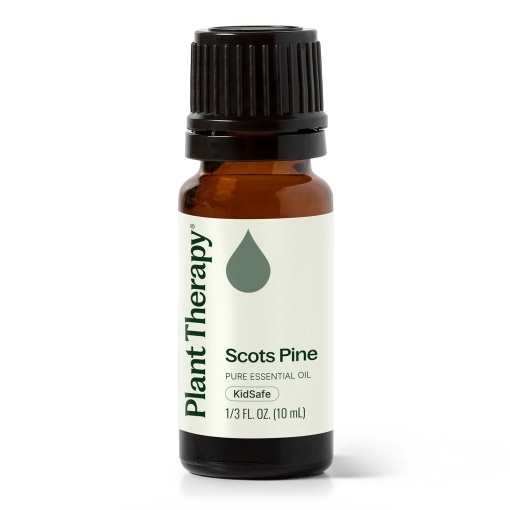 Scots Pine (Pin Scoțian)