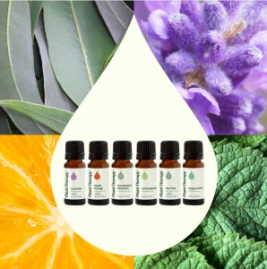 Breathe Easy Set – 6 buc x 10ml - Plant Therapy - Img 2