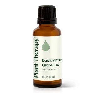 Eucalyptus Globulus (Eucaliptul Albastru)