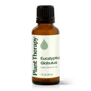 Eucalyptus Globulus (Eucaliptul Albastru)
