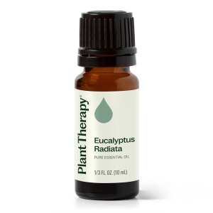 Eucalyptus Radiata (Eucalipt Radiata) - Img 1