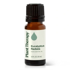 Eucalyptus Radiata (Eucalipt Radiata)