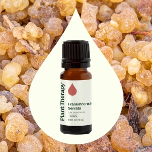Frankincense Serrata (Tămâie indiană) - Img 4