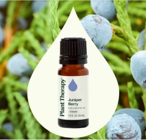 Juniper Berry (Ienupăr) - Img 3