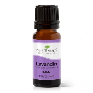 Lavandin (Lavandă Hibridă)