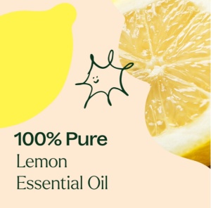 Lemon, Lavender and Peppermint Set – 3 buc x 10ml - Plant Therapy - Img 7