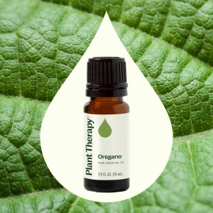 Oregano - Img 2