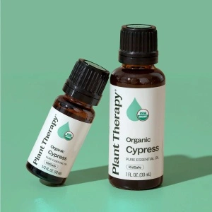 Organic Cypress - Img 5