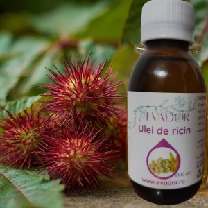 Set anti-celulitic natural – cu ulei de ricin, fenicul dulce, grapefruit roz și piper negru - Img 2