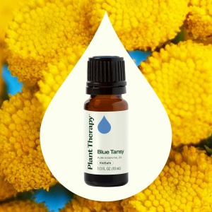 Blue Tansy (Mușețel Albastru Marocan) - Img 3
