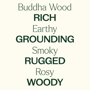 Buddha Wood (Lemn de Trandafir din Deșertul Australian / Lemnul lui Buddha) - Img 7