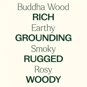 Buddha Wood (Lemn de Trandafir din Deșertul Australian / Lemnul lui Buddha) - Img 7