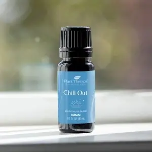 Chill Out - Img 5