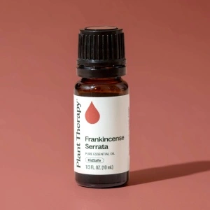 Frankincense Serrata (Tămâie indiană) - Img 5