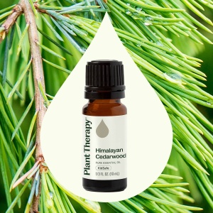 Himalayan Cedarwood (Cedru de Himalaya) - Img 3