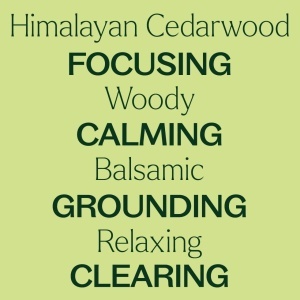 Himalayan Cedarwood (Cedru de Himalaya) - Img 8