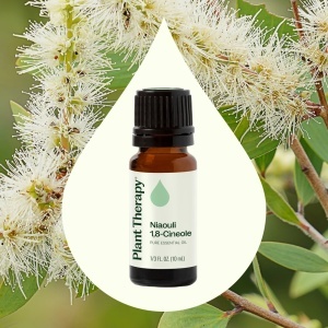 Niaouli 1,8-Cineole (Melaleuca Quinquenervia, Chemotip 1,8-Cineole) - Img 2