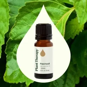 Patchouli (Paciuli) - Img 3