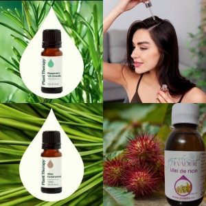 Set îngrijire scalp și păr – cu ulei de ricin, rozmarin și cedru atlas