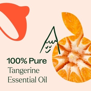 Tangerine (Mandarină) - Img 6