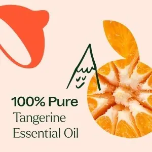 Tangerine (Mandarină) - Img 6